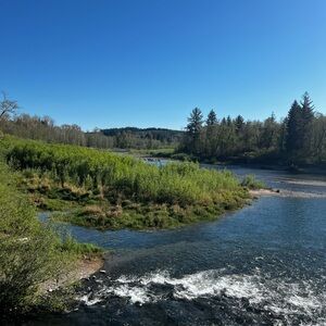 Meet your Posher, techno31